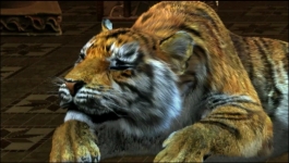 Parul - 24th July 2025